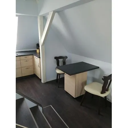 Apartment Tischer Dresden